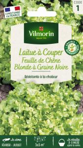 Laitue à Couper Feuille de Chêne Blonde à Graine Noire 